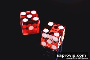 AG真人 saprovip